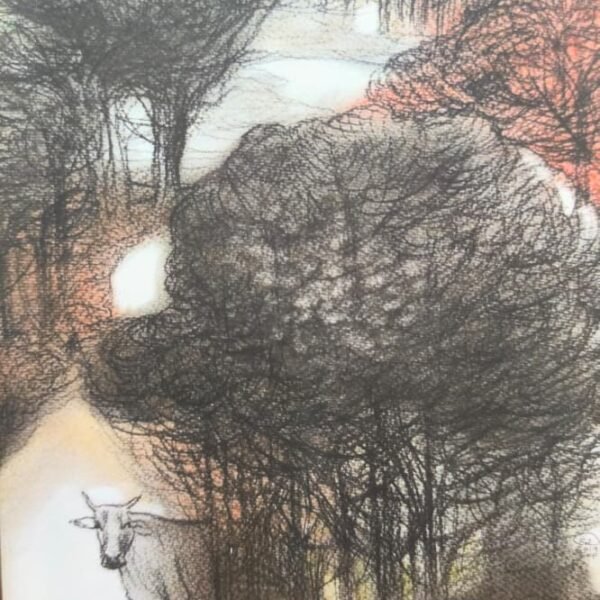 19.டி.எம்.சாரோனிலிருந்து...